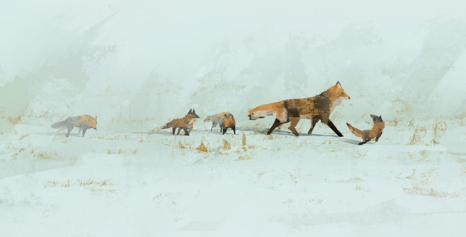 6000×3061 雪地里的狐狸 6K电脑壁纸