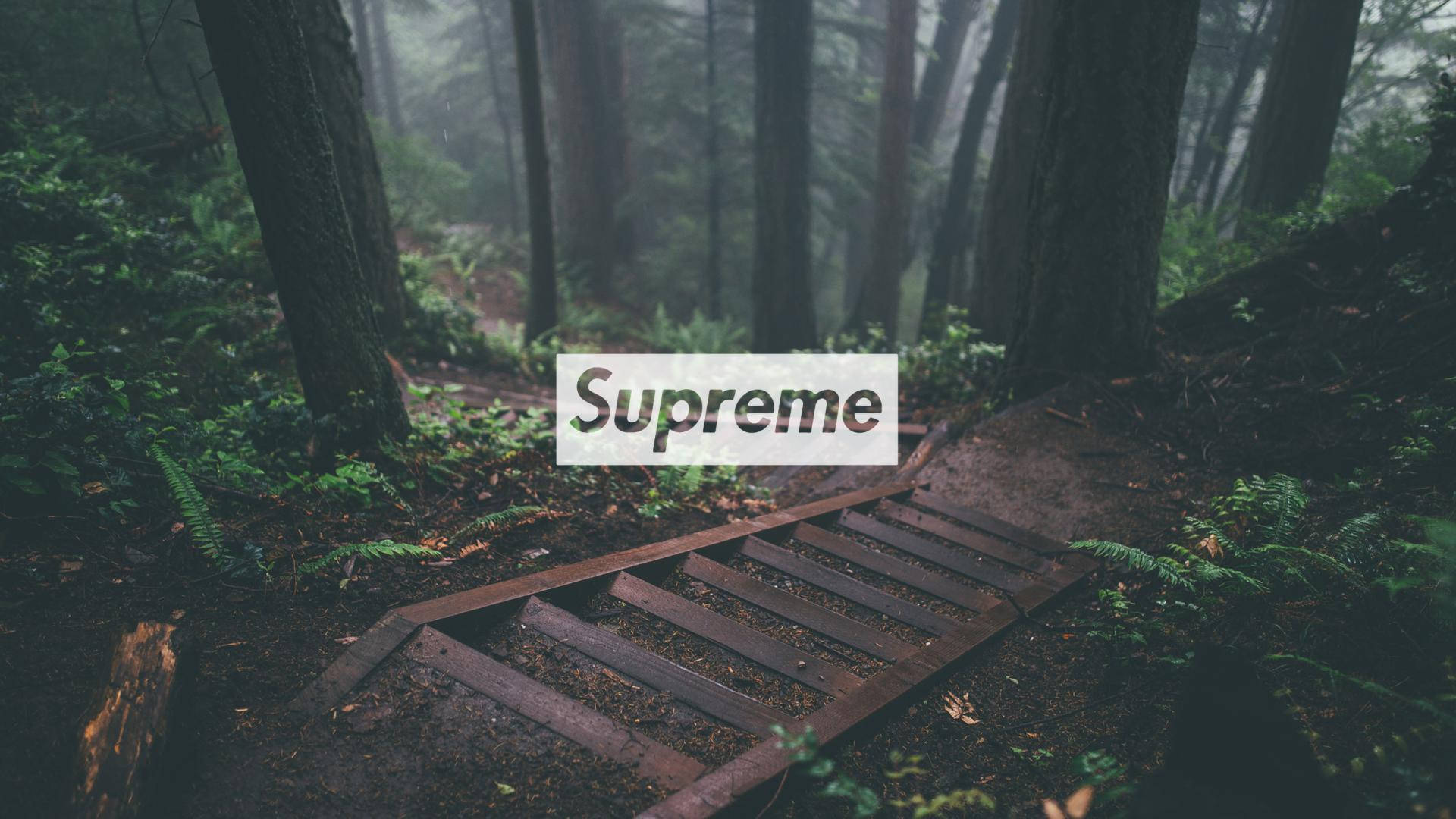 w562yp 1920×1080 Supreme clothing outdoors leaves trees