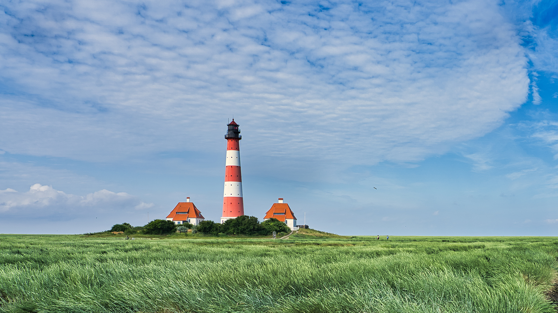 xe7x3l 1920×1080 sky green grass