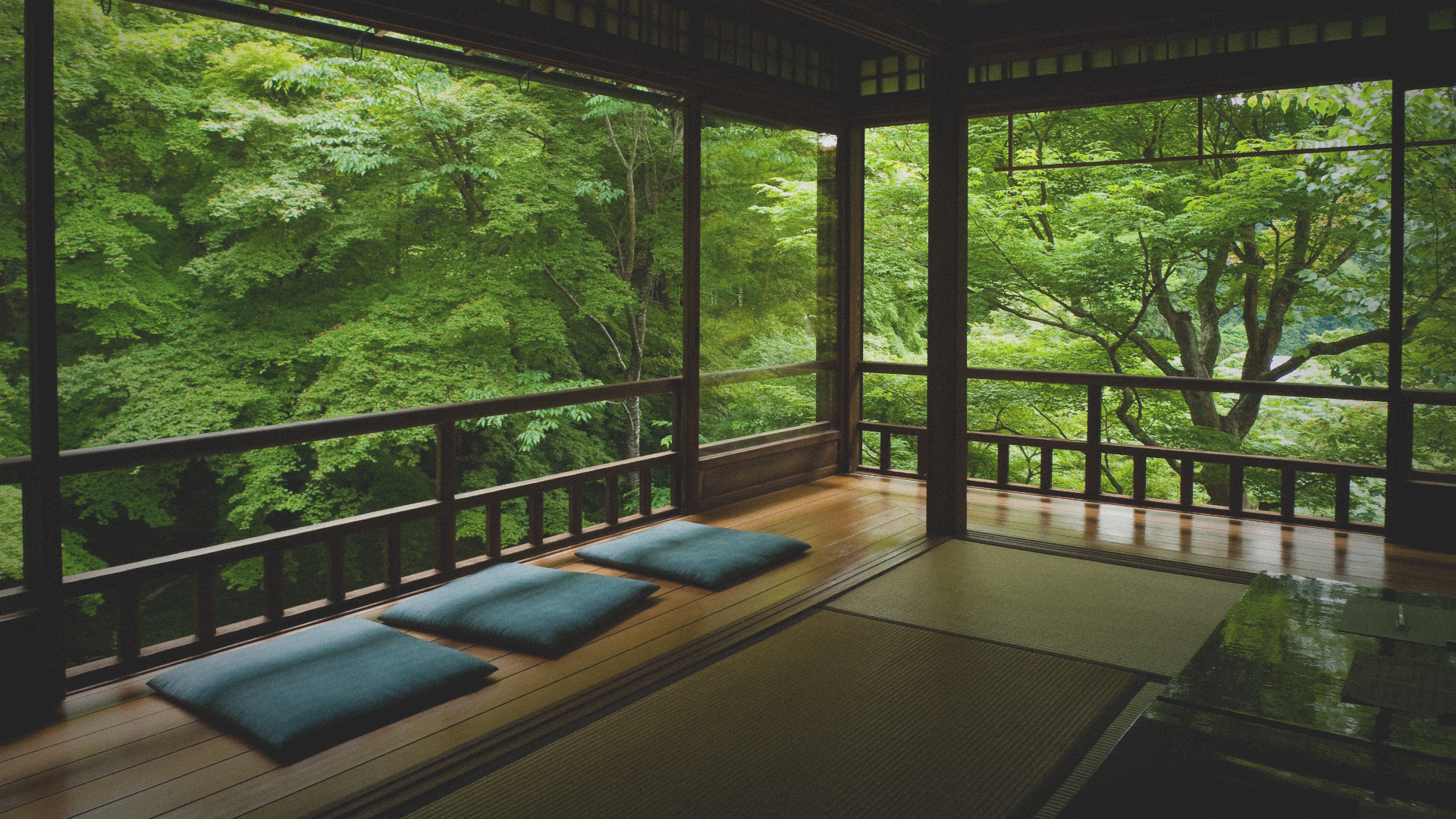 d8k92o 1920×1080 nature tatami Japanese forest green