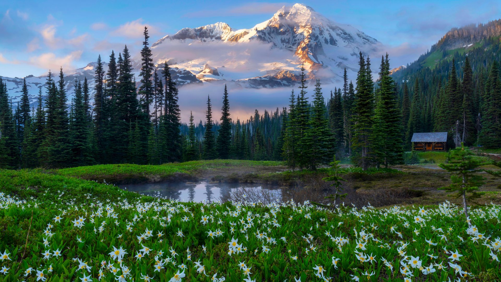 9o239d 6144×3456 Erwin Buske nature landscape trees water