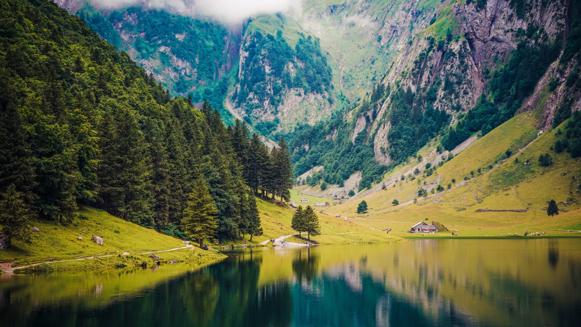 k81ml7 5120×2880 Adam Smok nature landscape trees grass