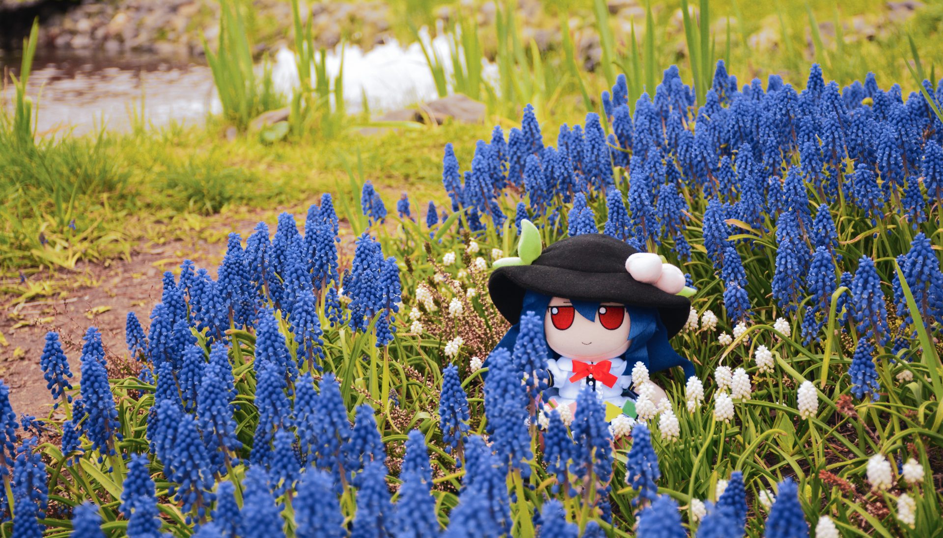 21dp56 6000×3424 grass flowers Touhou fumo (plushie) water