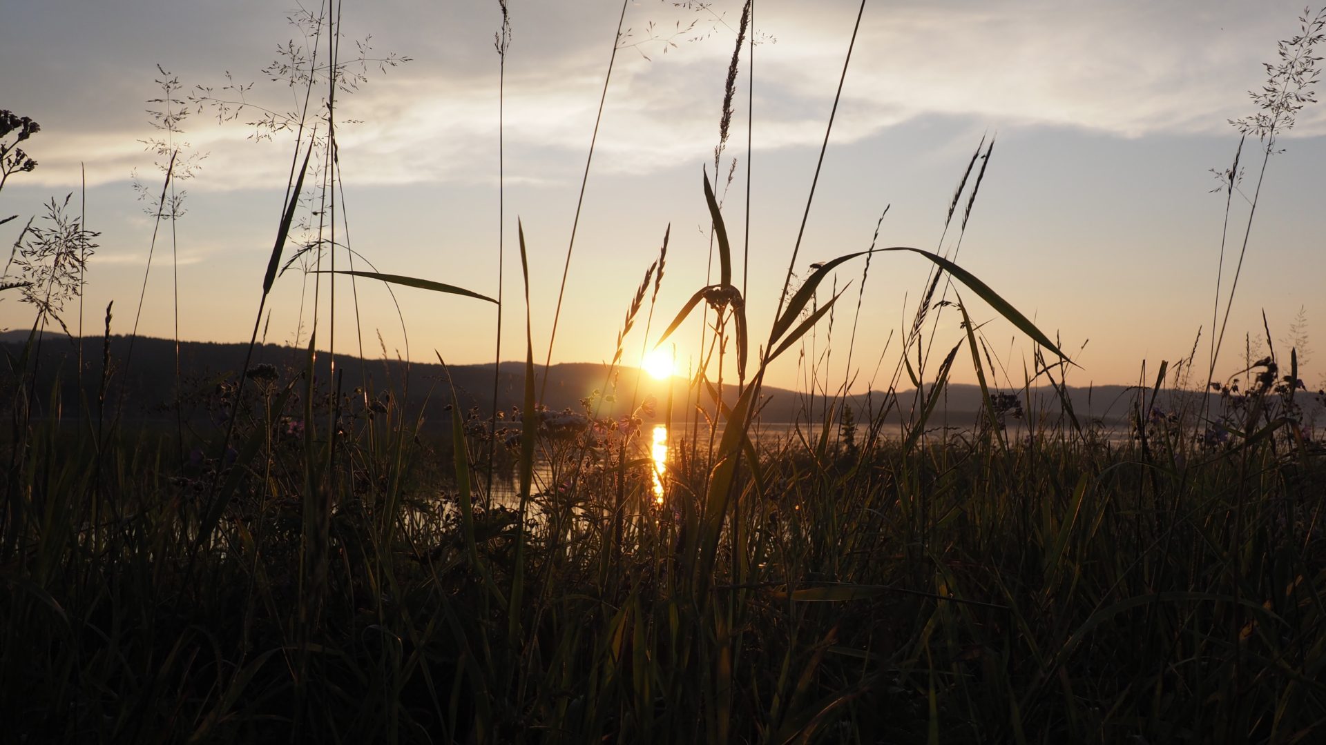 general 7jwpmv 4608×2592 nature plants sky clouds lake