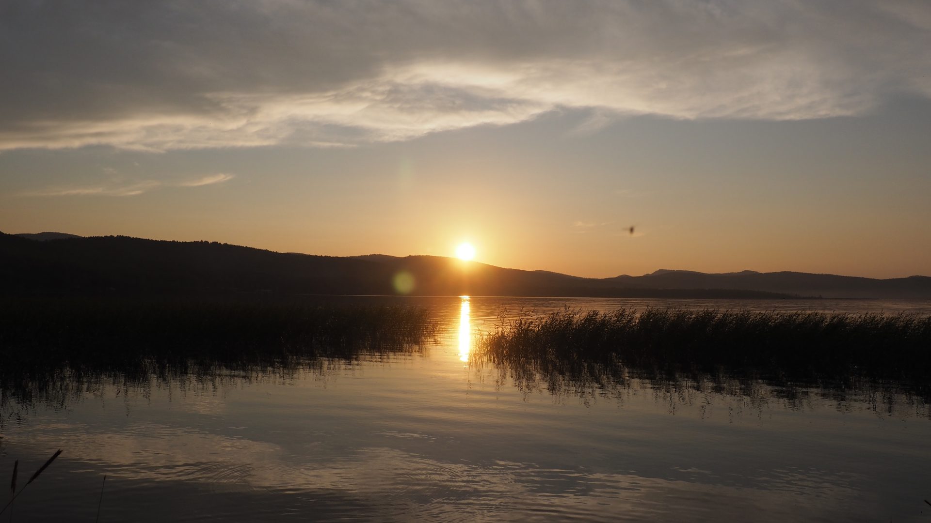 general ogl5wm 4608×2592 nature plants sky clouds lake