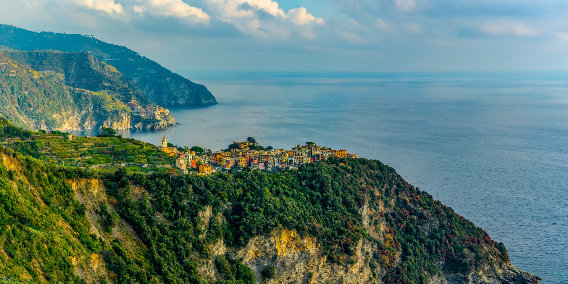 k81qd1 4095×2047 David Hamments nature landscape trees plants