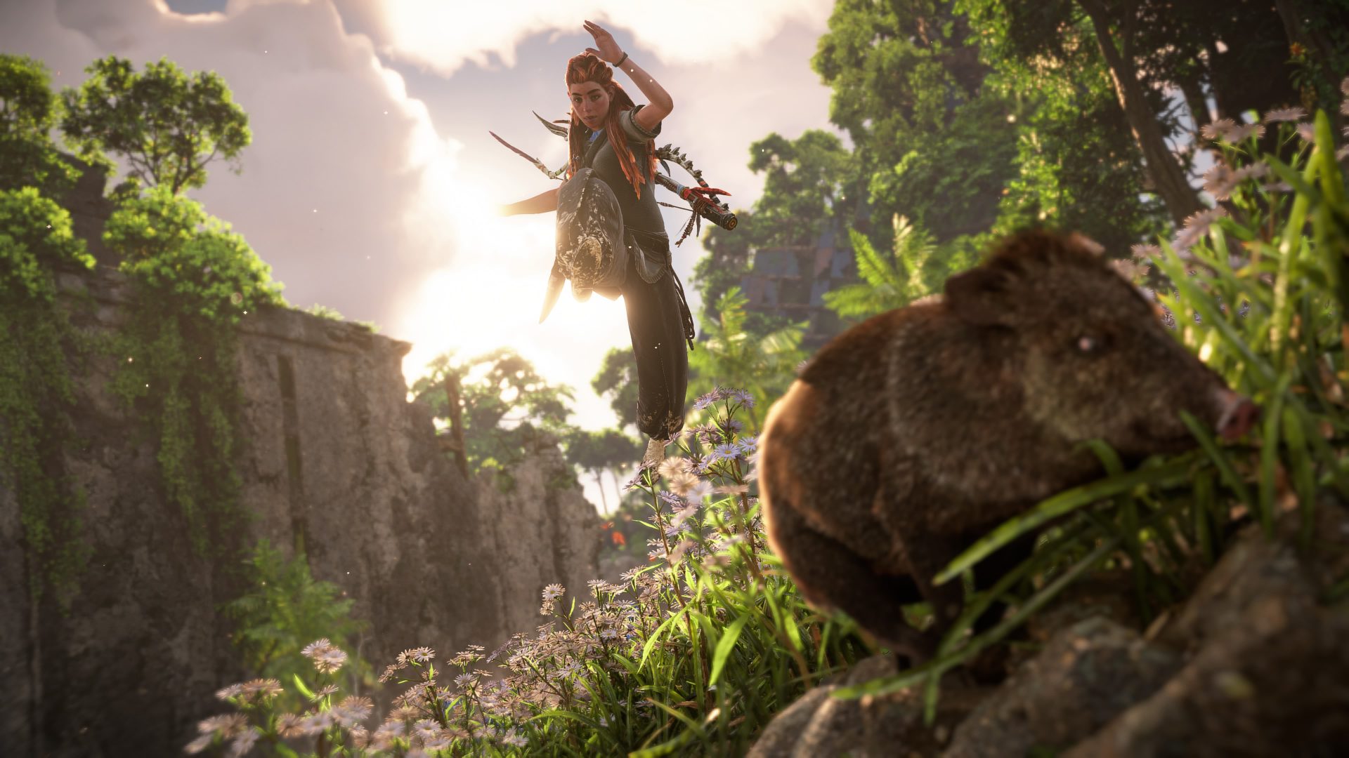 8gkyxy 3840×2160 Horizon Forbidden West Aloy (Horizon: Zero Dawn) Horizon Forbidden West (Burning Shores) Guerrilla Games Sun