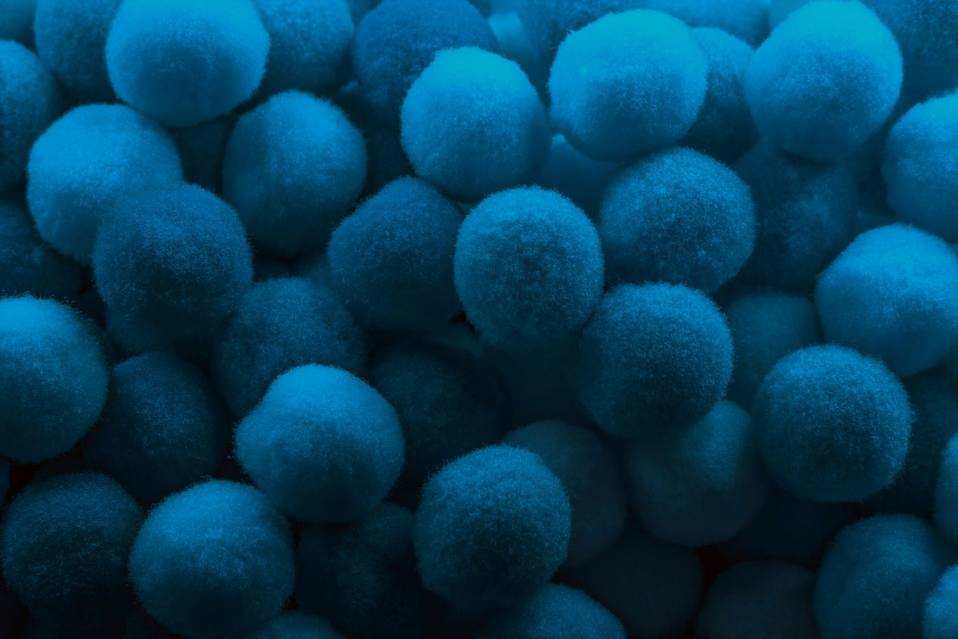 e8953k 6000×4000 blue circle closeup fur photography