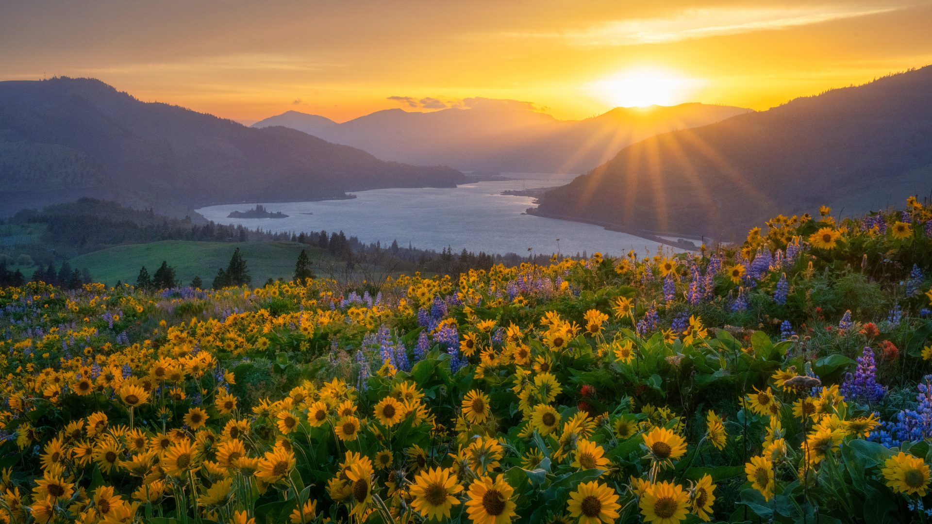 9o2lg8 3840×2160 Erwin Buske nature landscape trees plants