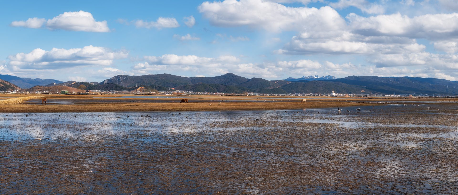 general zpoz7g 11628×4948 Napahai Lake Shangri-La sky blue wetland