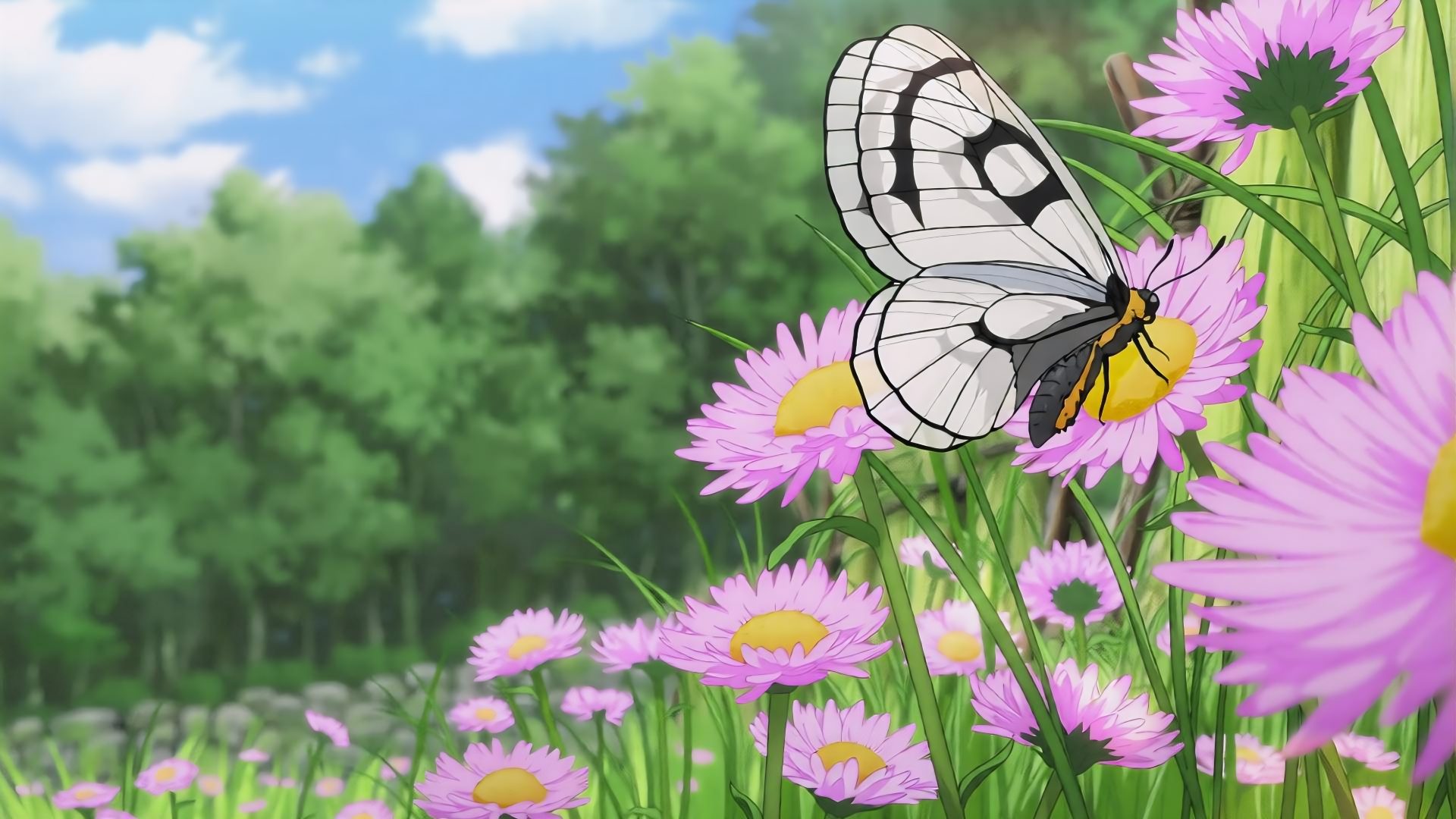 anime 5ykk18 3840×2160 butterfly pink flowers wildflowers insect green background