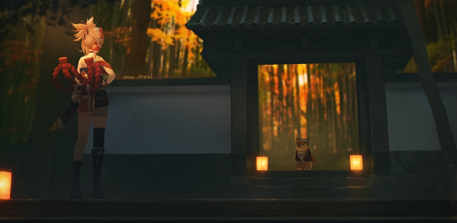 Photo by WPcoder